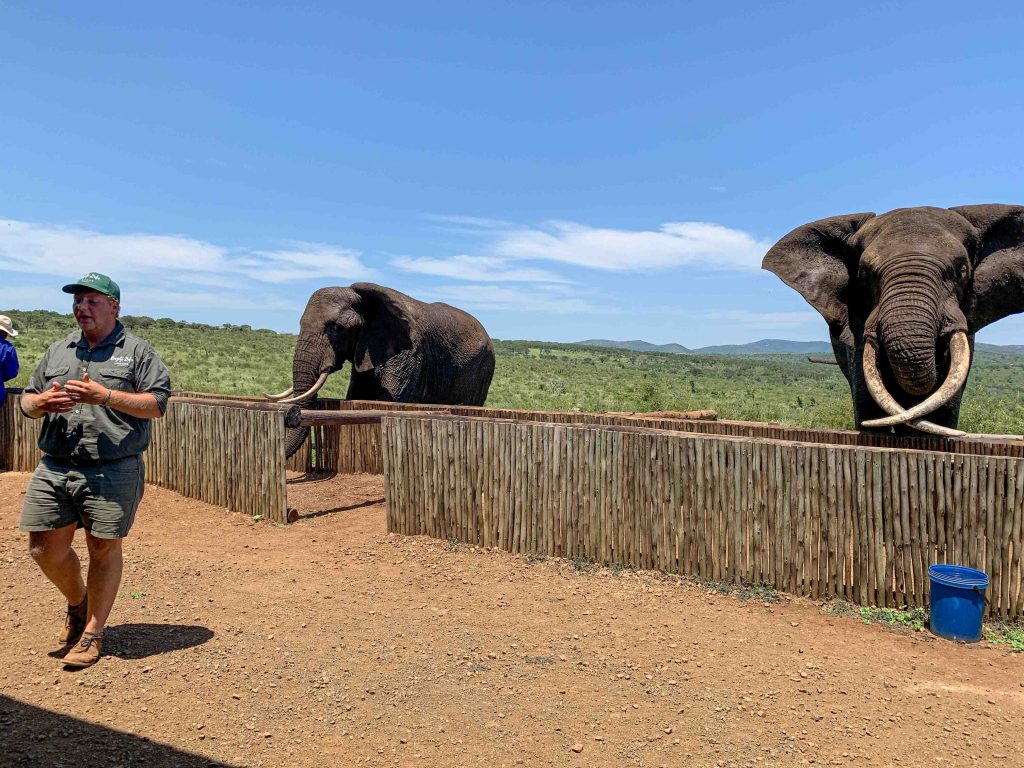 Thornwood Luxury Bush Lodge