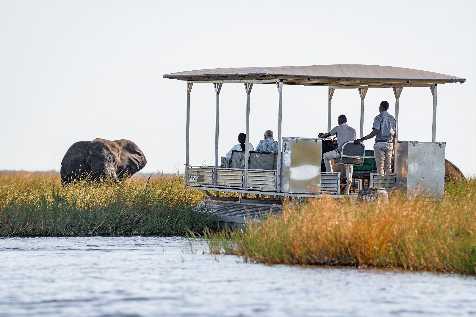 Tlouwana Safari Camp