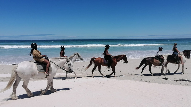 Walker Bay Dunes Lodge