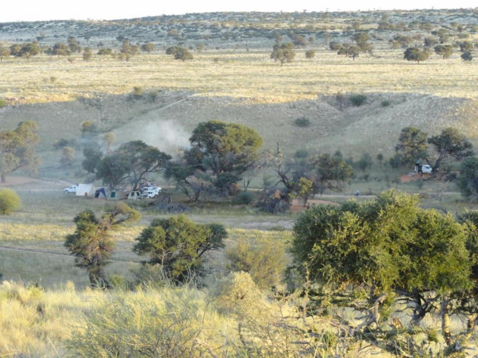 Natural landscape