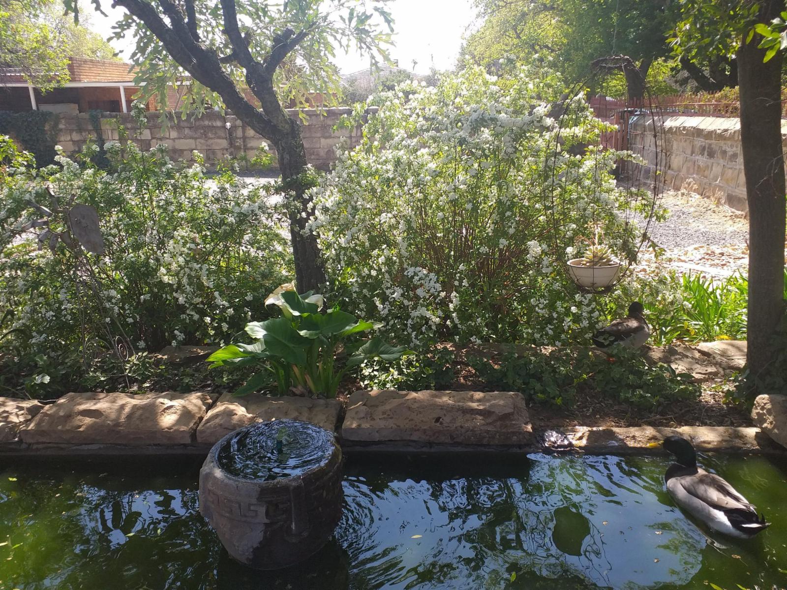 Garden view