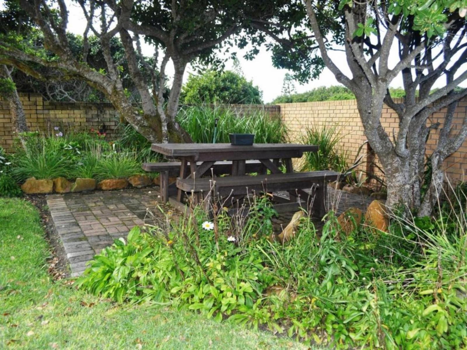 Great White Accommodation