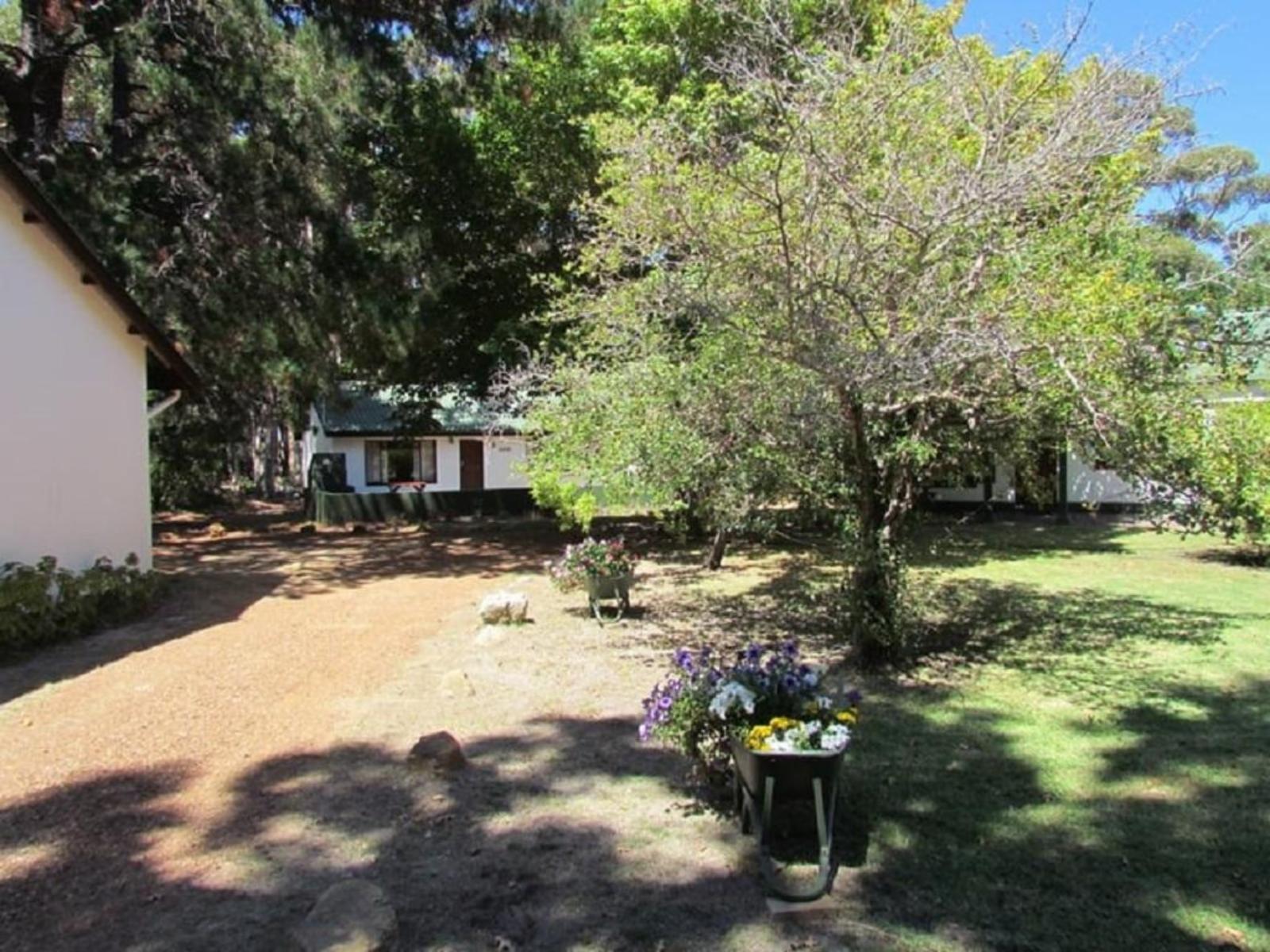 Property / Building