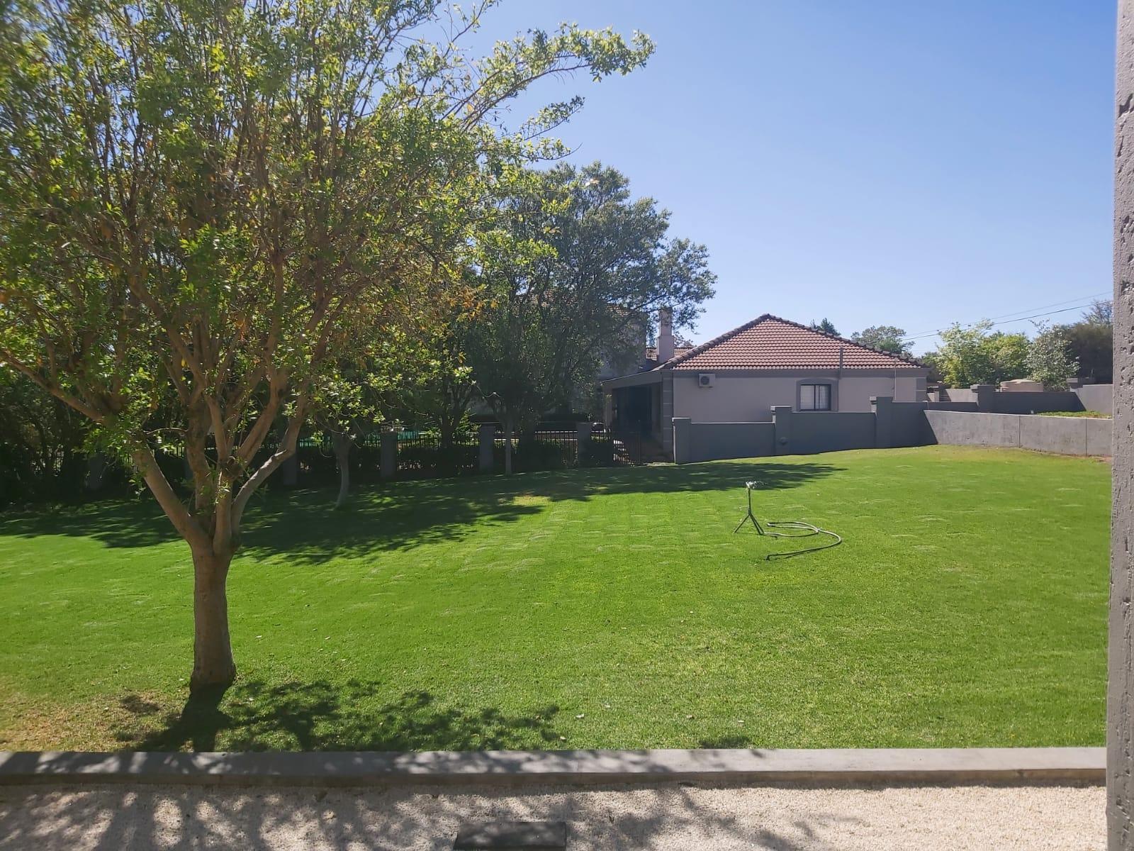 Garden view