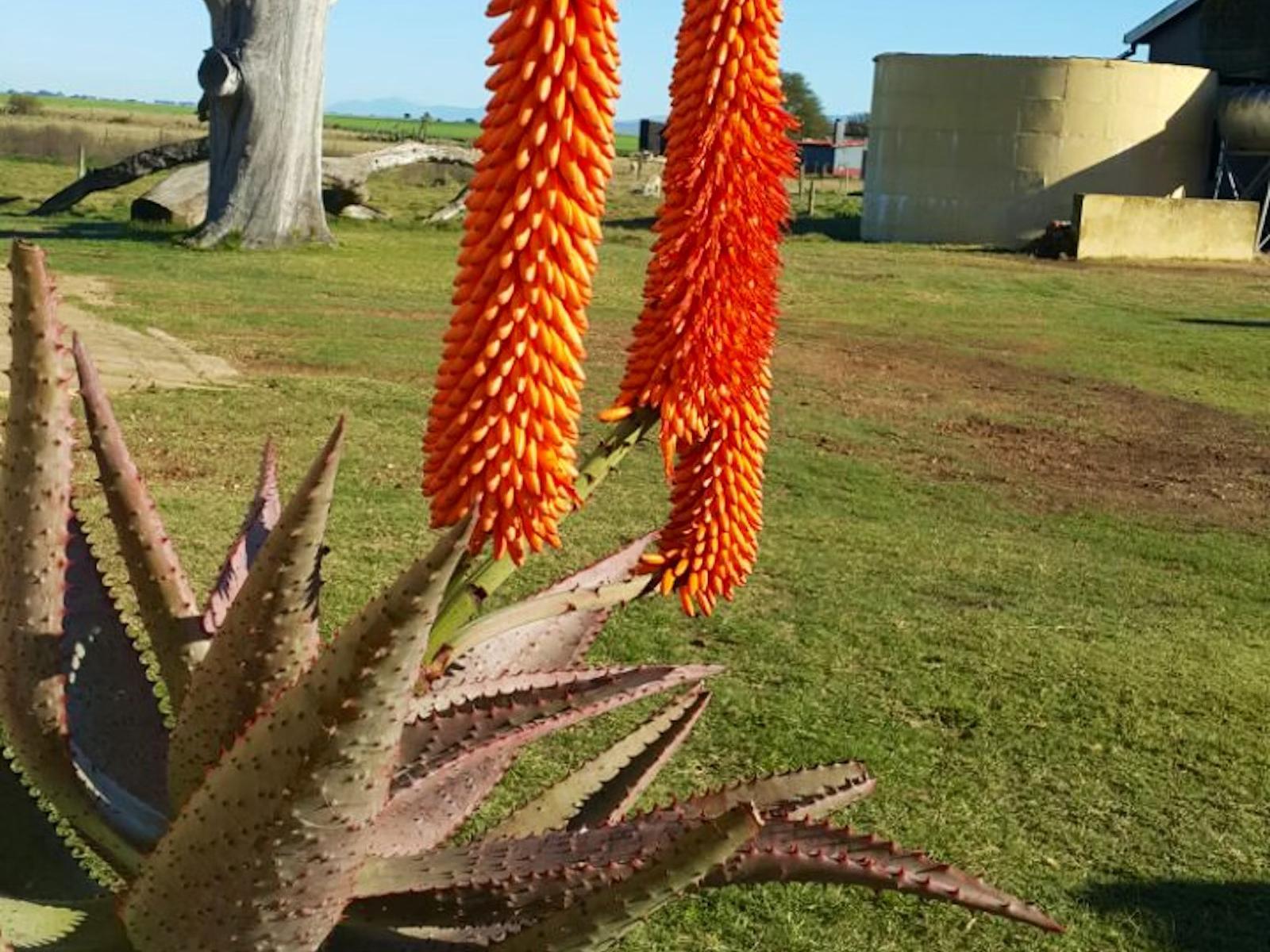 Natural landscape