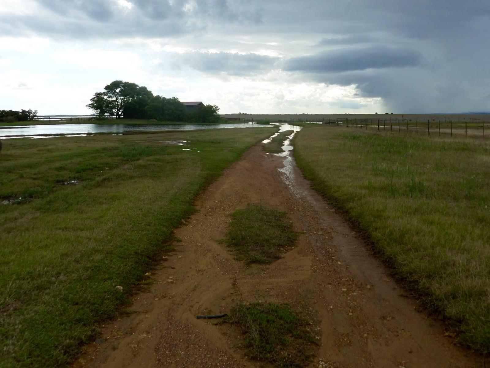 Natural landscape