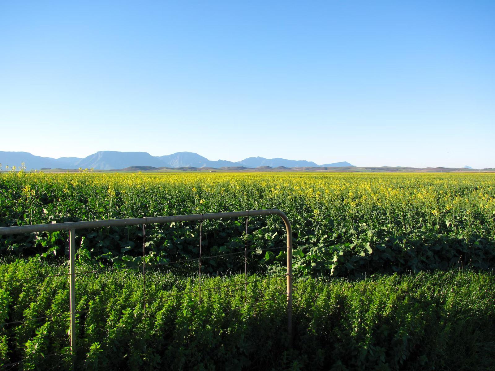 Natural landscape