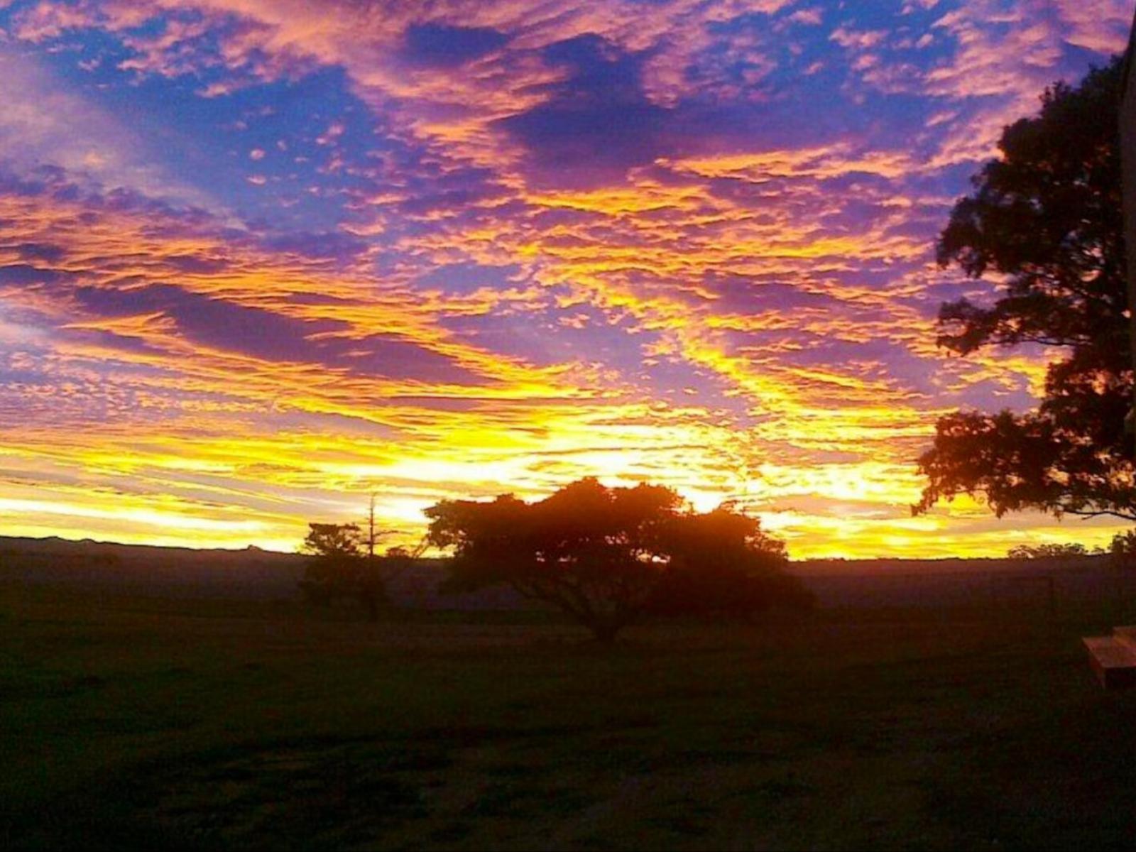Natural landscape