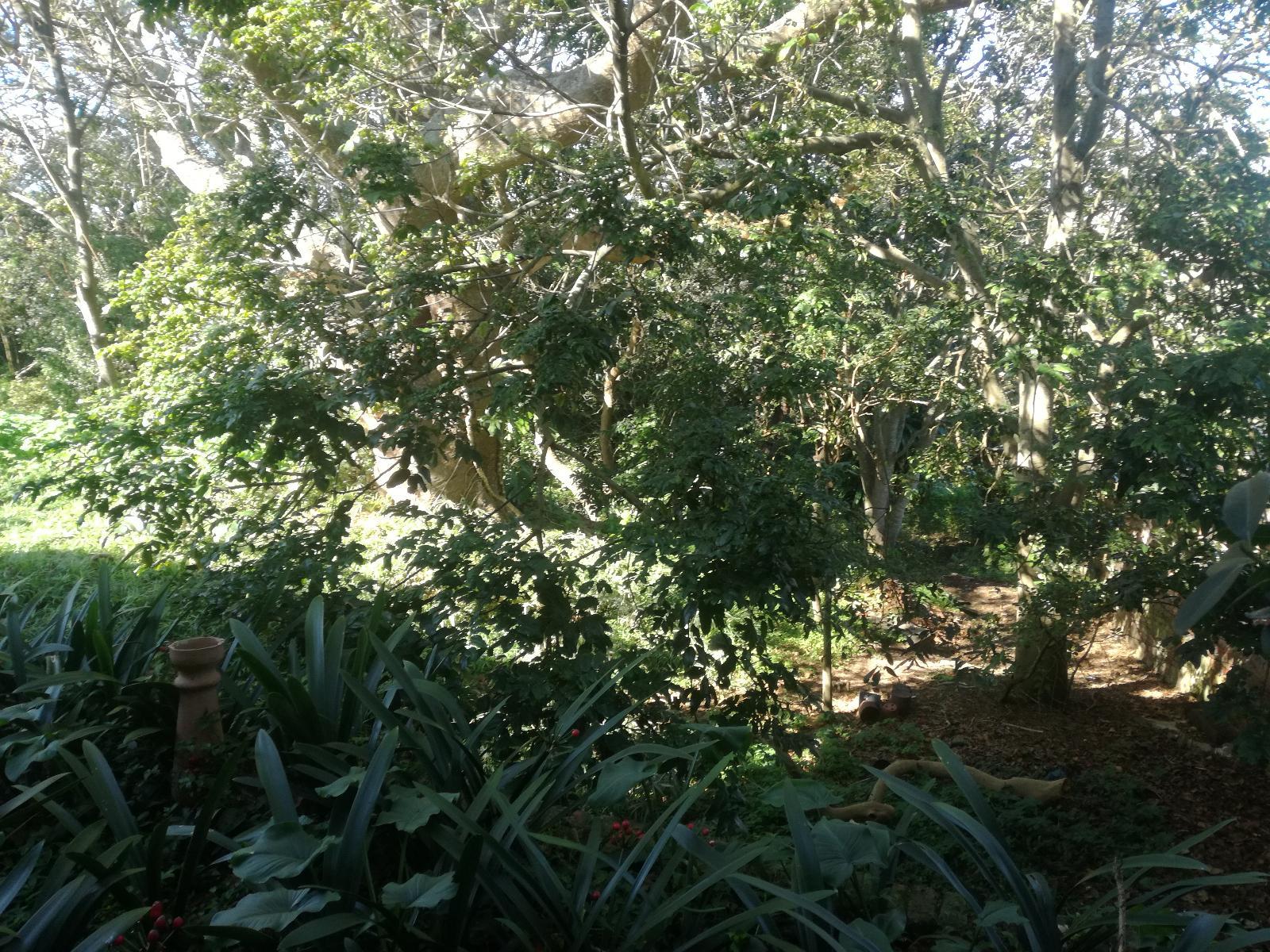 Natural landscape