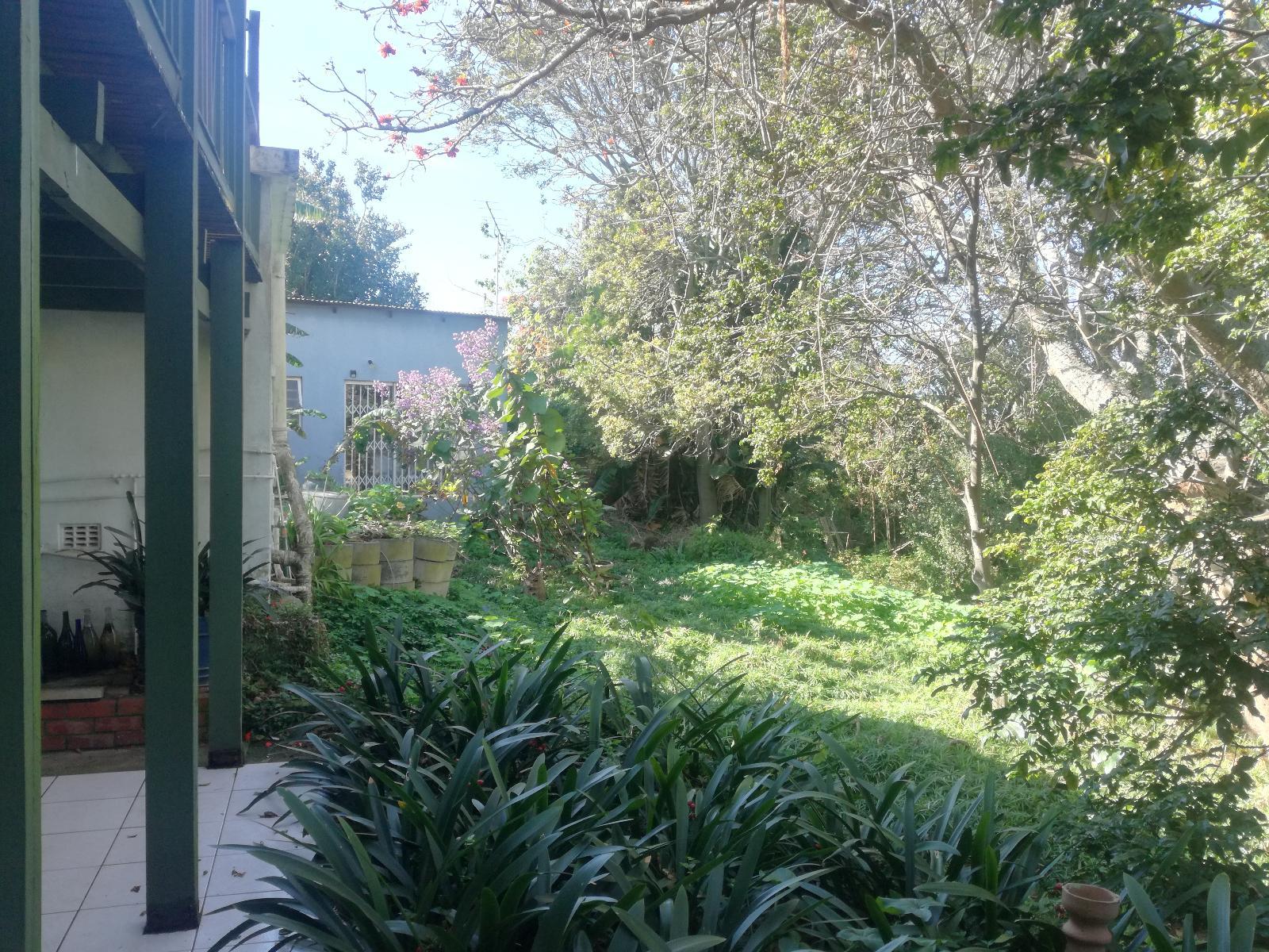 Garden view