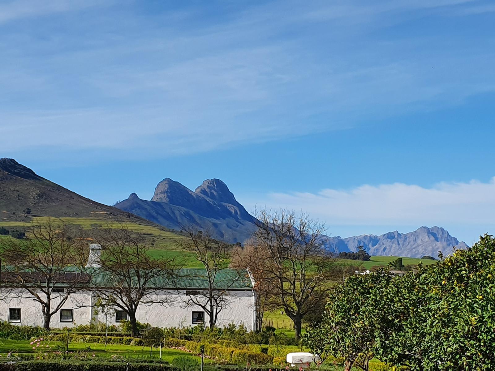 Muldersvlei Estate