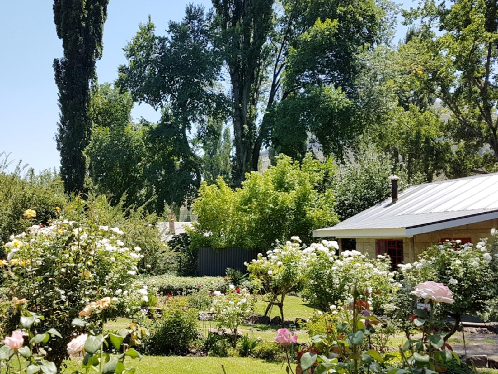 Neighbourhood