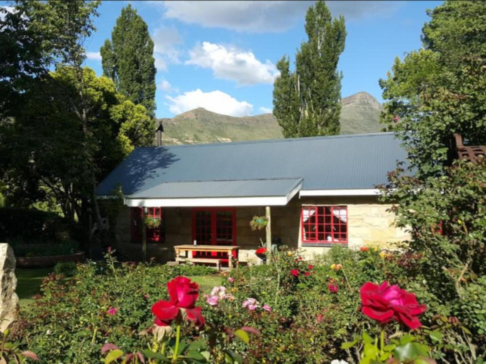 Property / Building