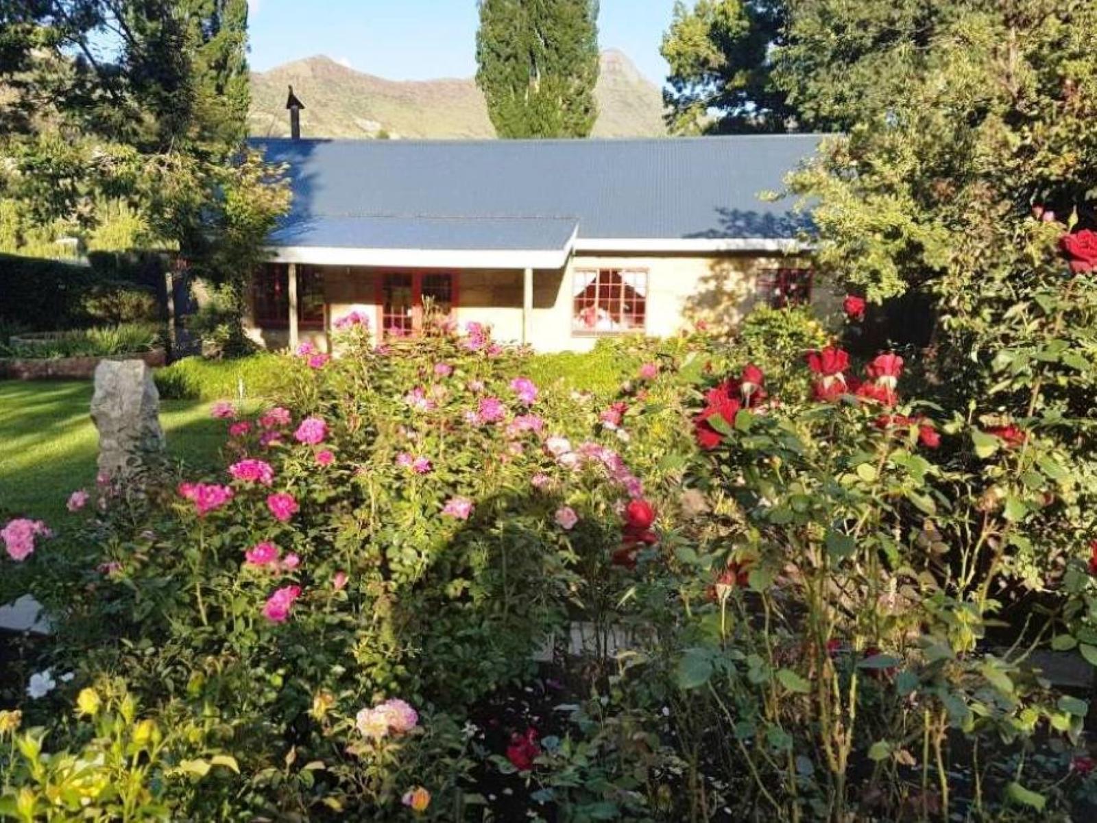 Braai/BBQ facilities