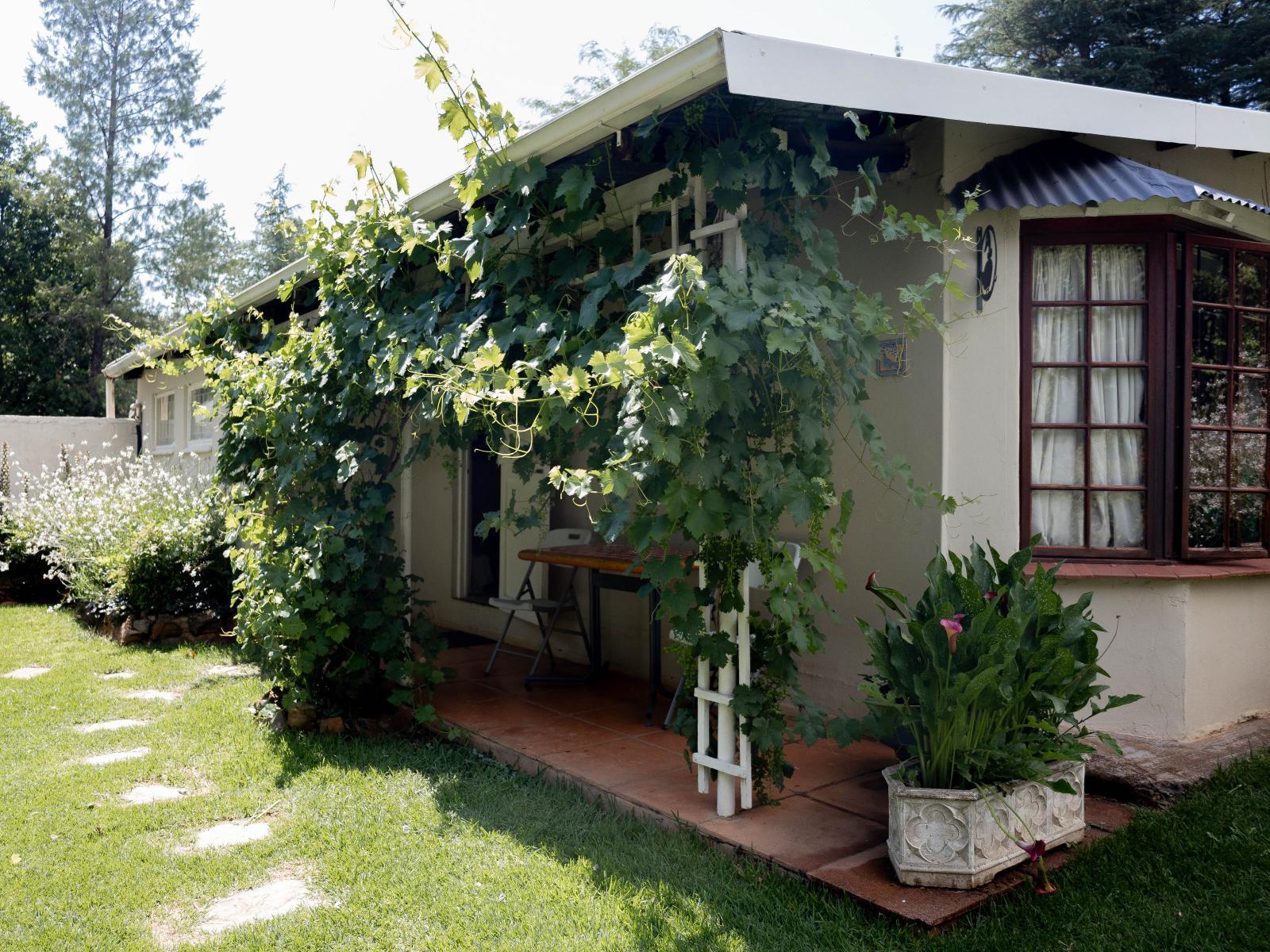 Room 1 — Patio