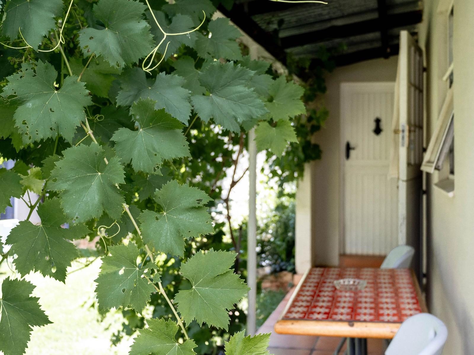 Room 1 — Patio