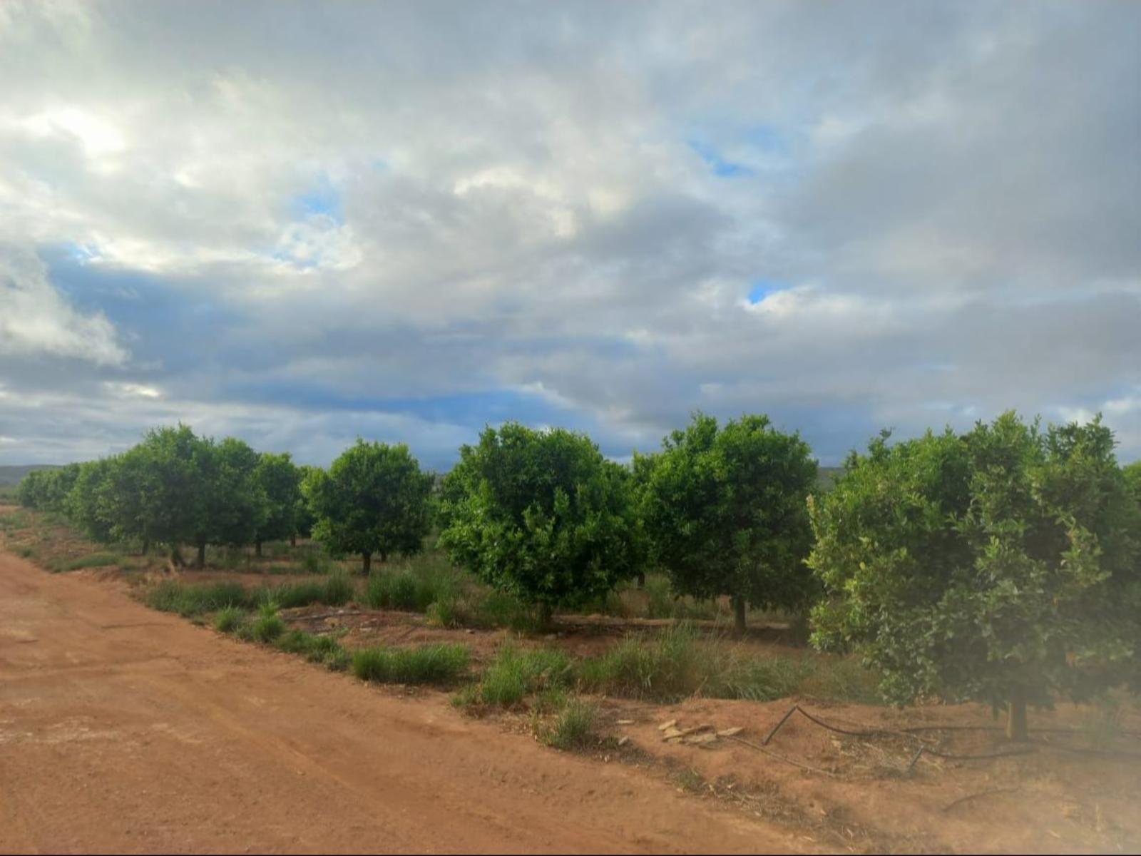 Natural landscape