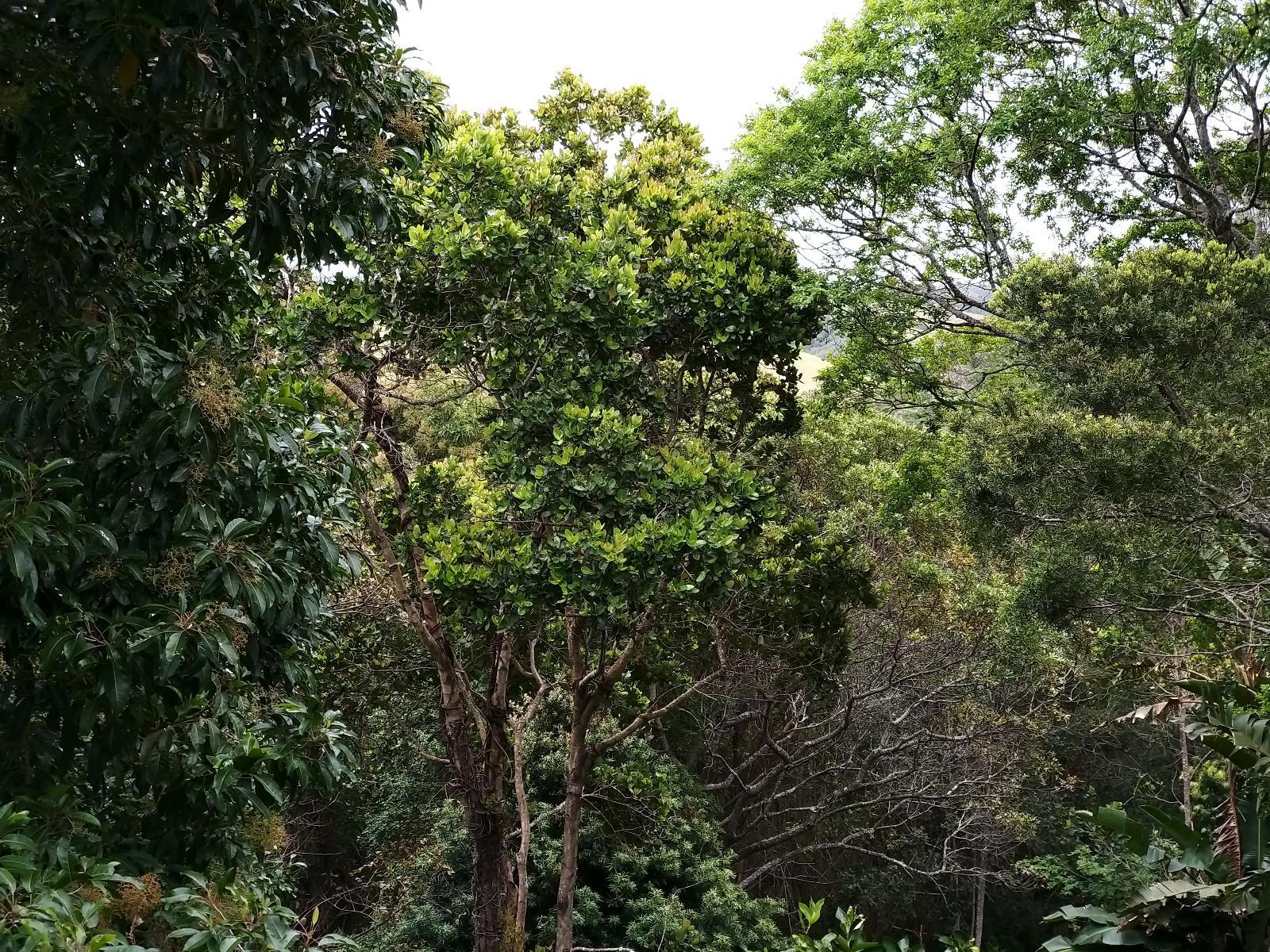 Room 1 — View (from property/room)