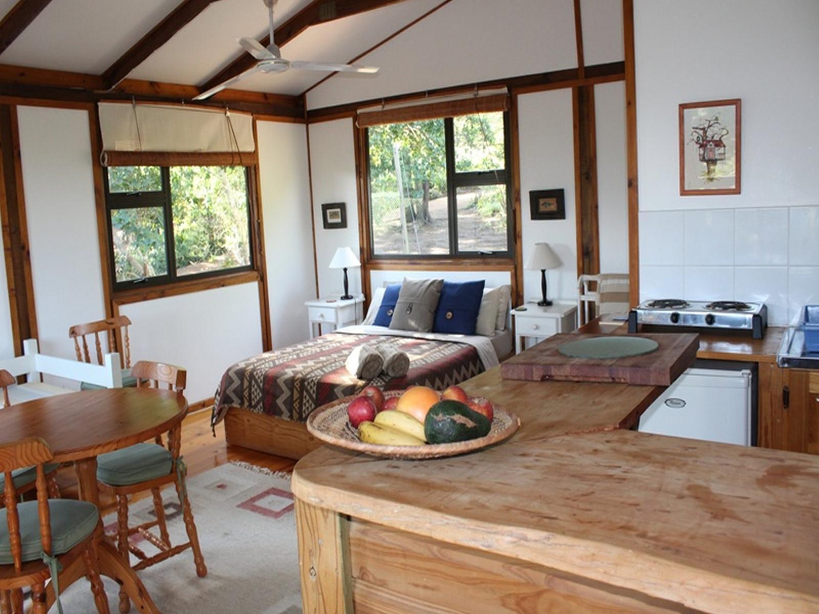 Room 1 — Photo of the whole room