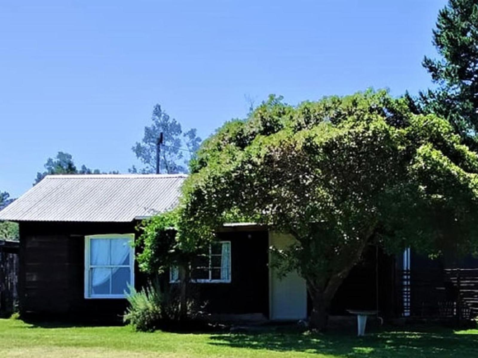 Property / Building