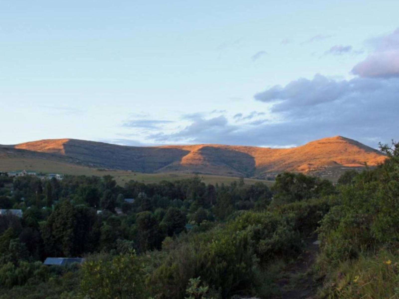 Mountain view