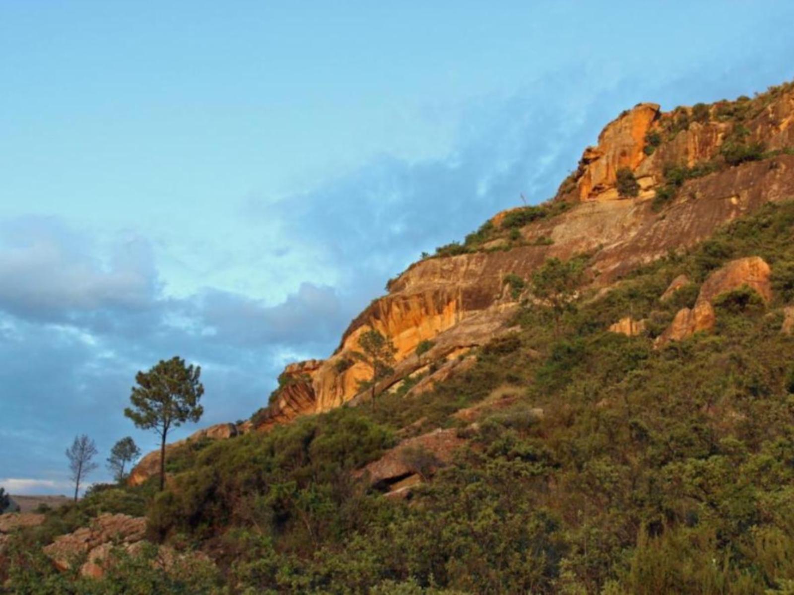 Natural landscape