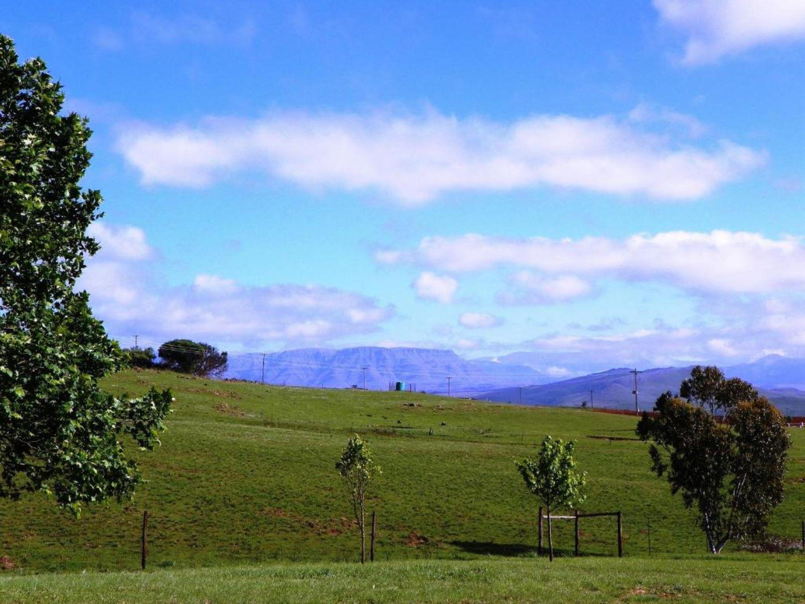 Natural landscape