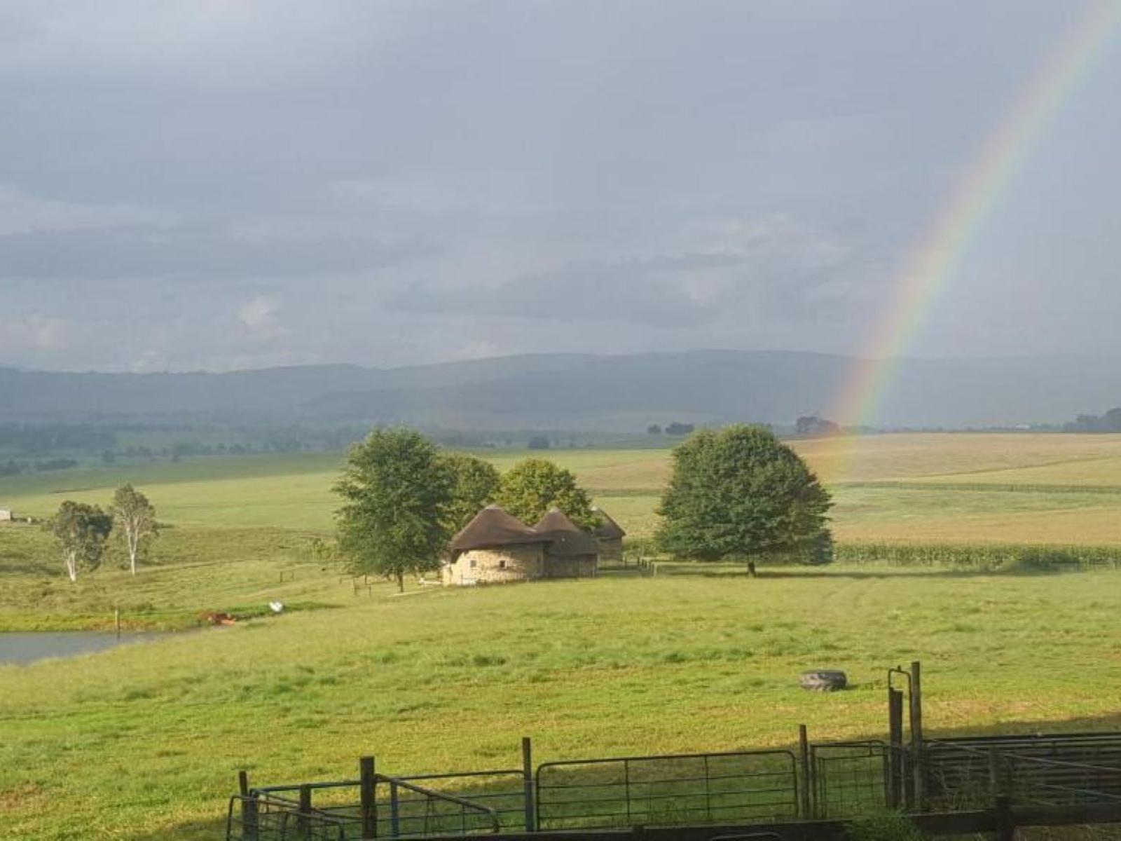 Natural landscape