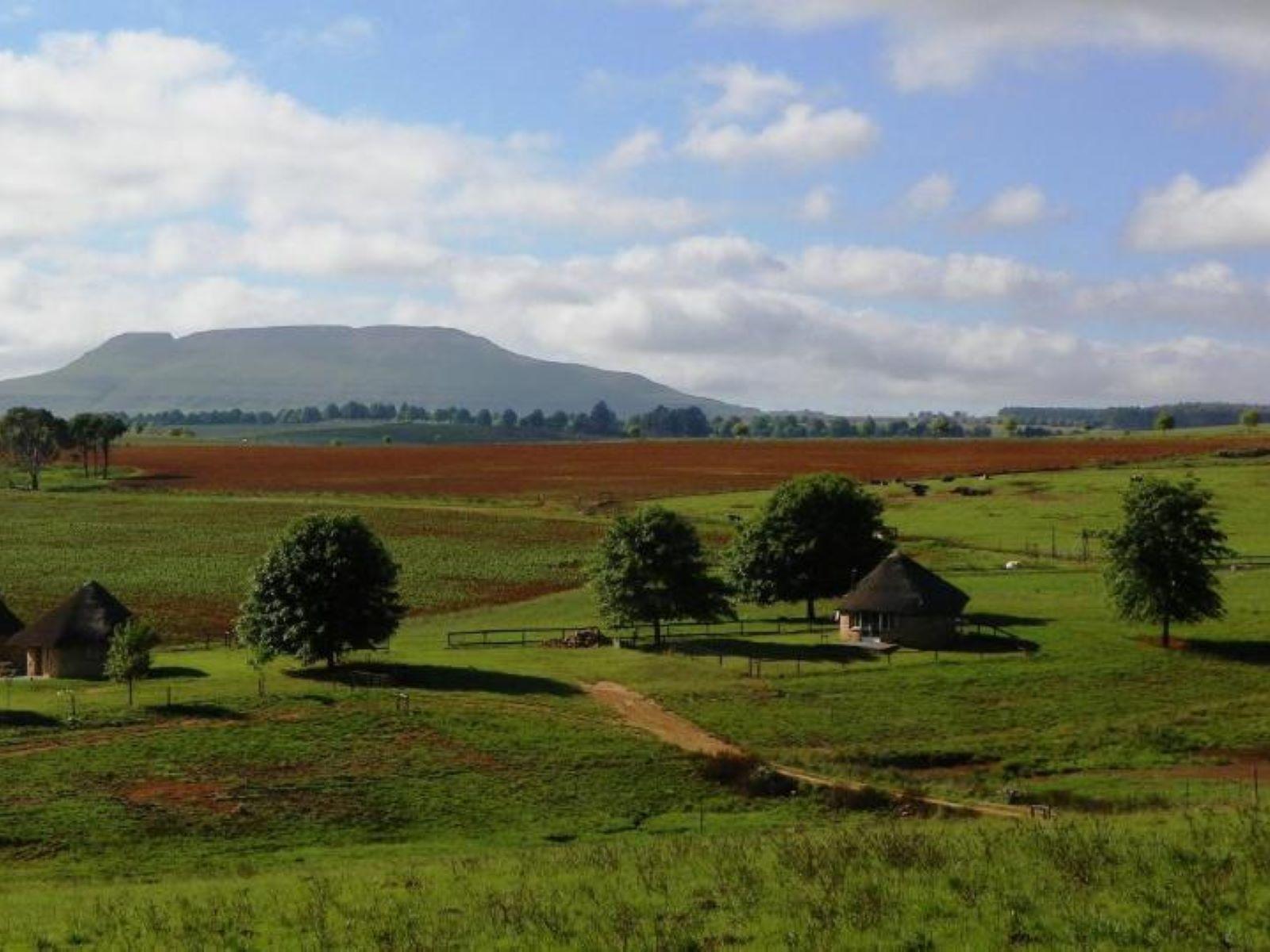 Natural landscape