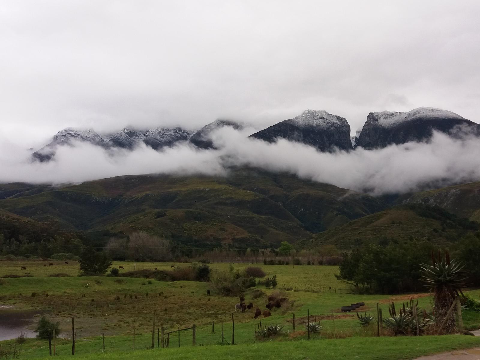 Natural landscape