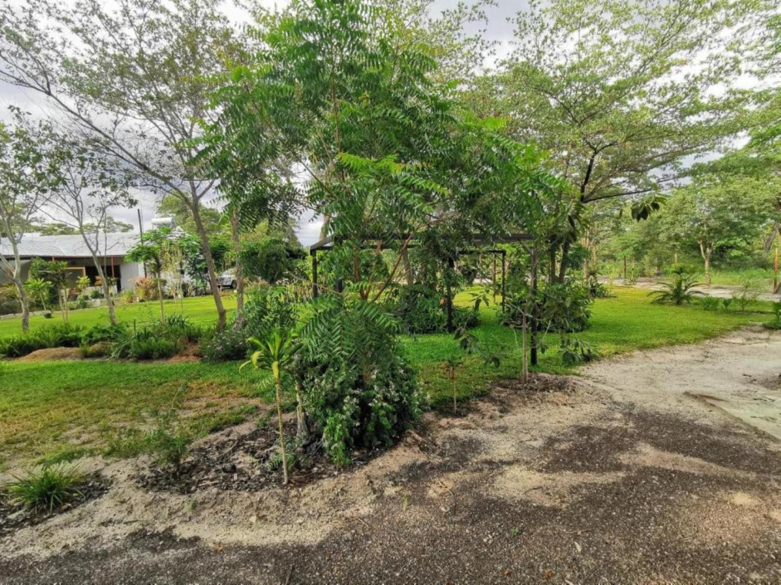 Property / Building