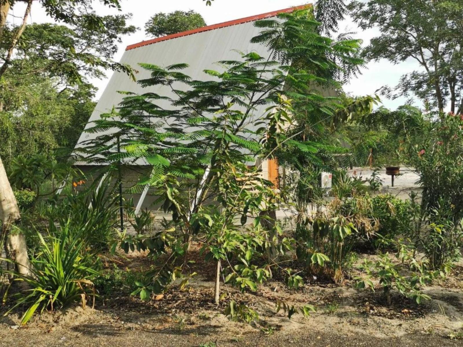 Property / Building