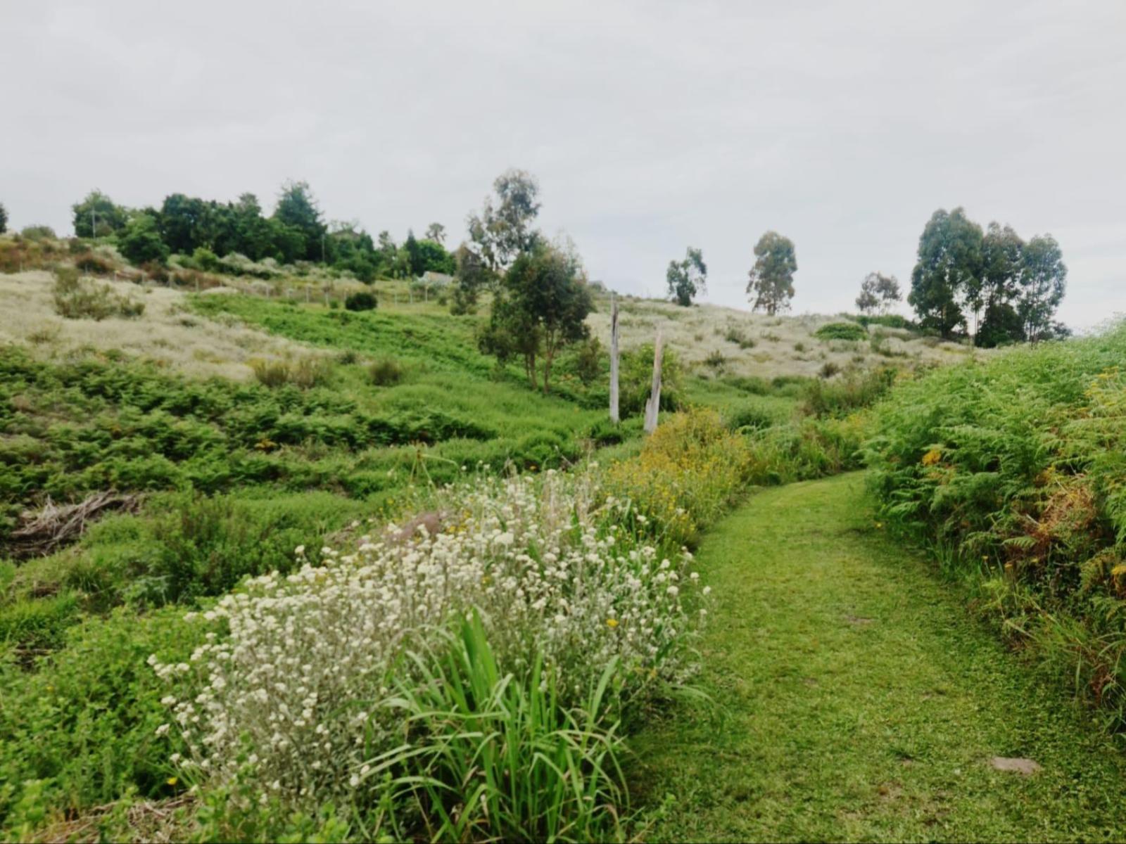 Neighbourhood