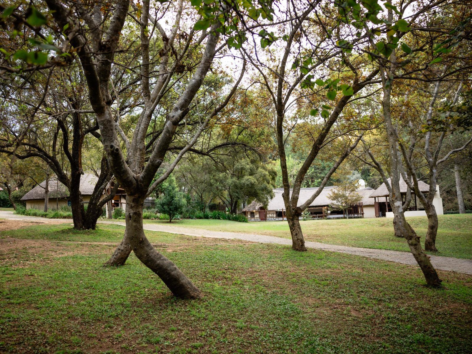 Pinewood Cottages