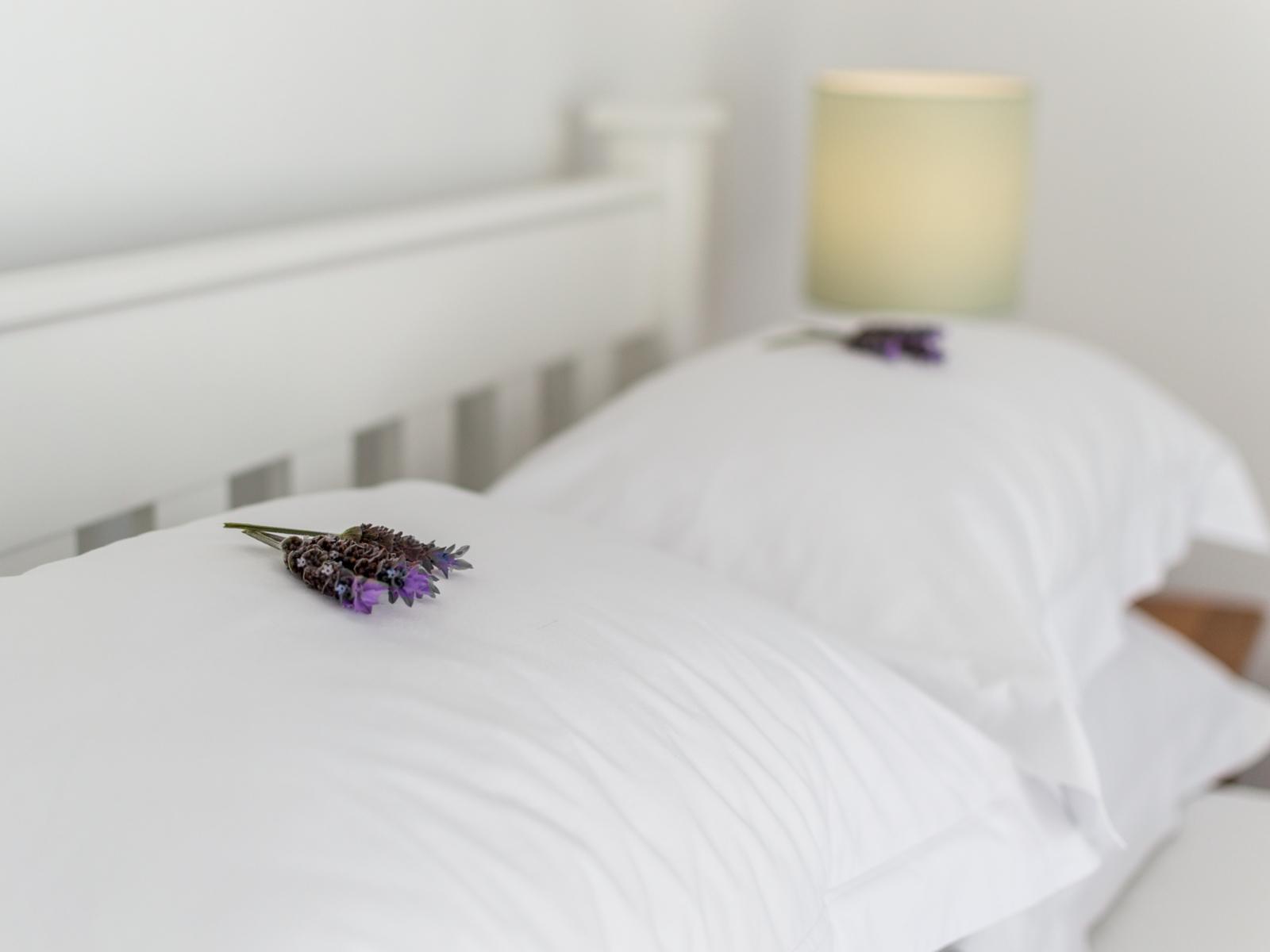Room 1 — Bed
