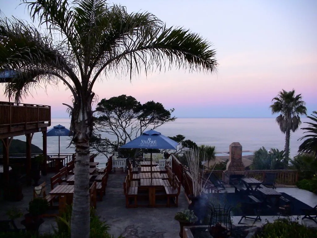 Palm trees picnic tables and ocean view at sunset
