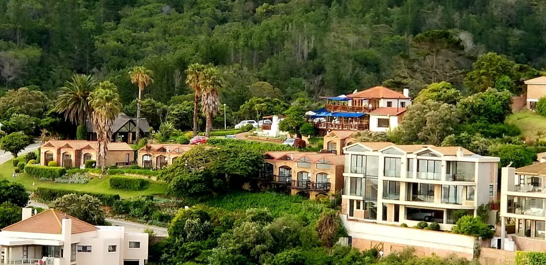 Houses nestled among trees on a lush green hillside