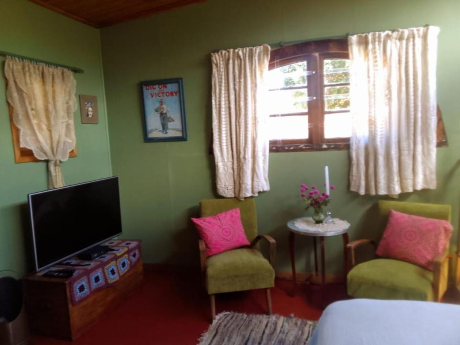 Room 5 — Photo of the whole room