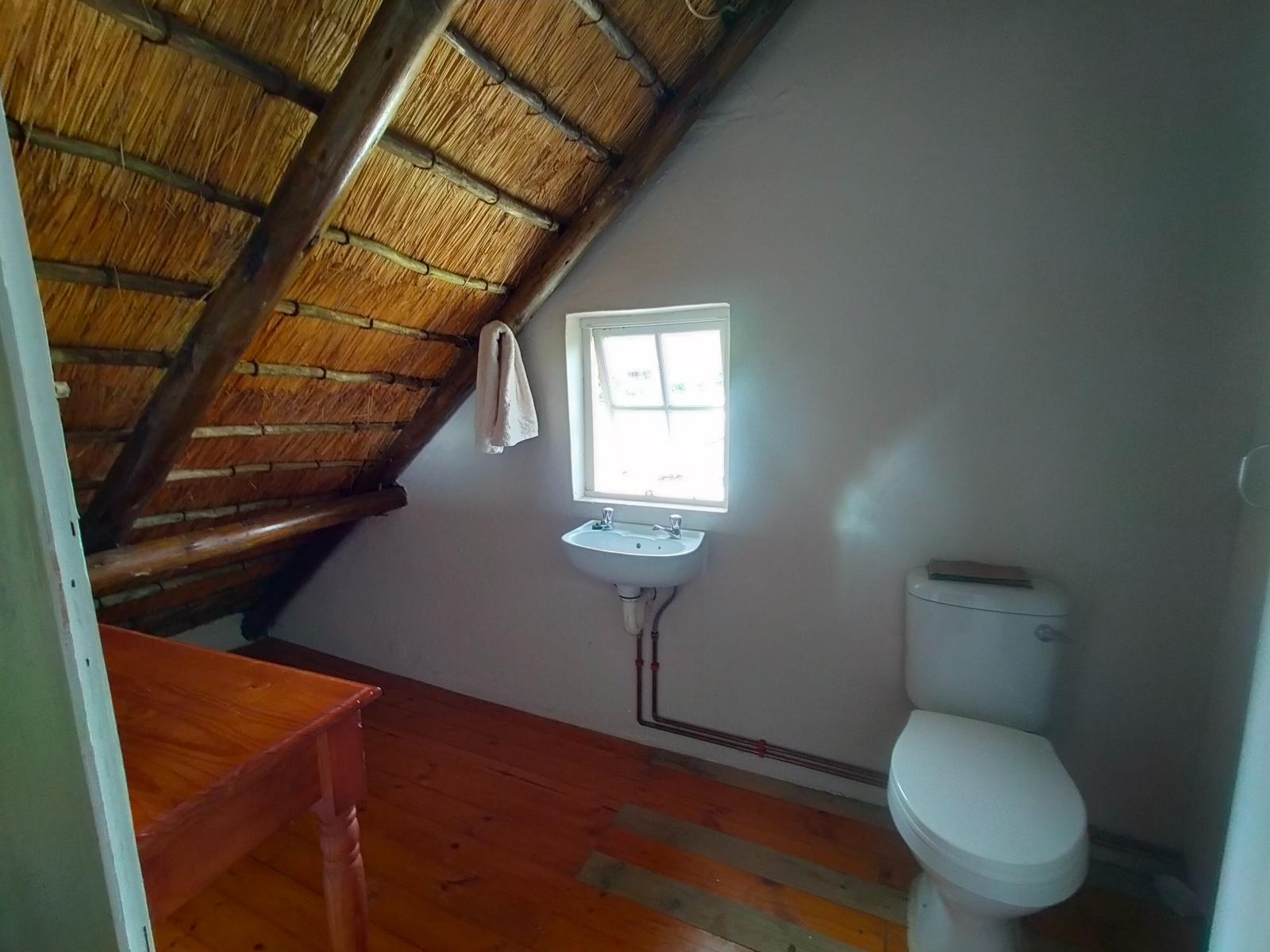 Room 1 — Toilet
