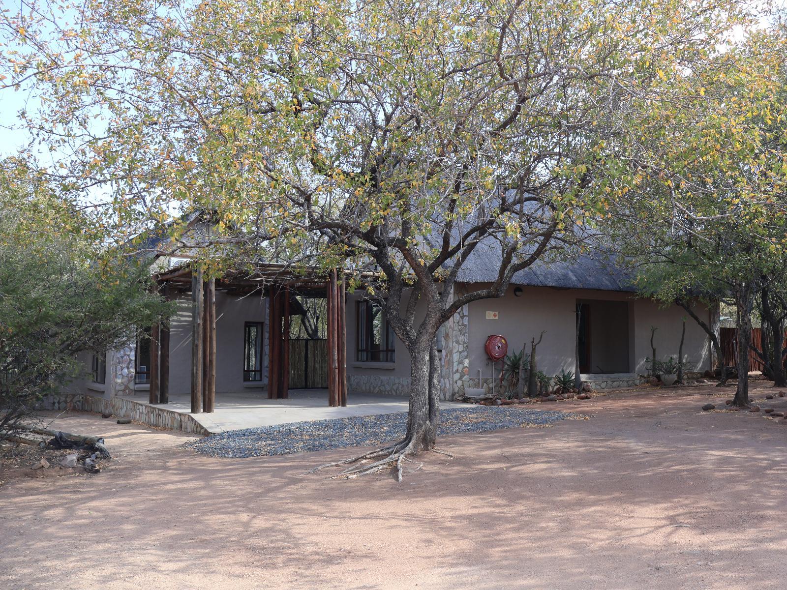 Warthogs Rest