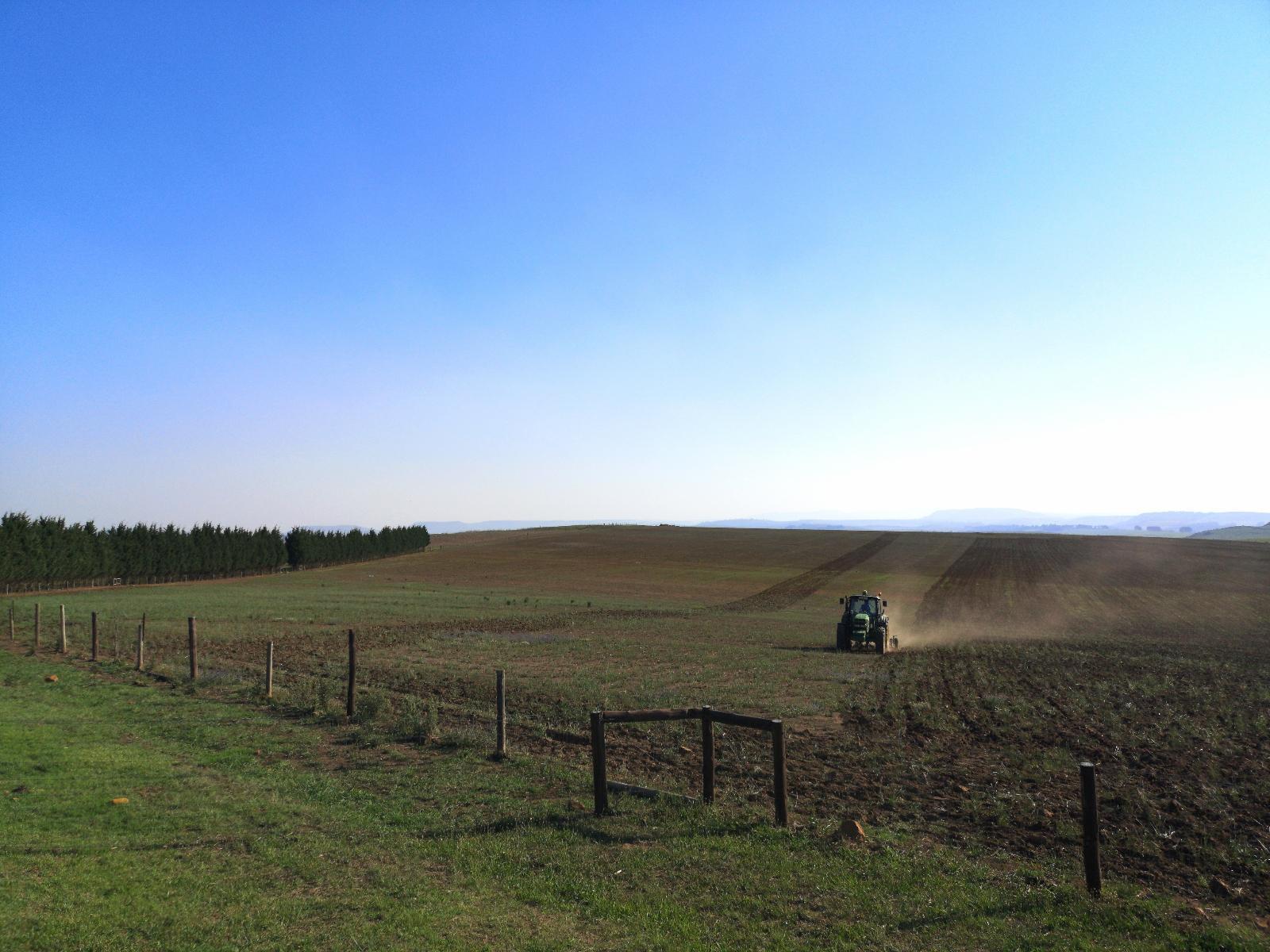 Natural landscape