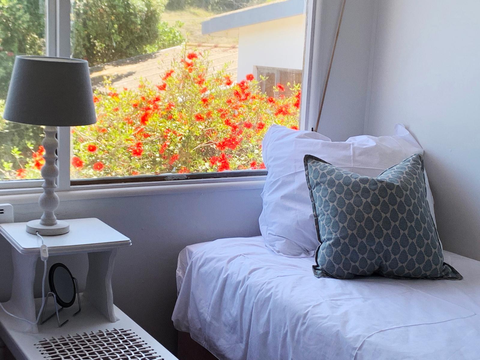 Room 2 — Photo of the whole room