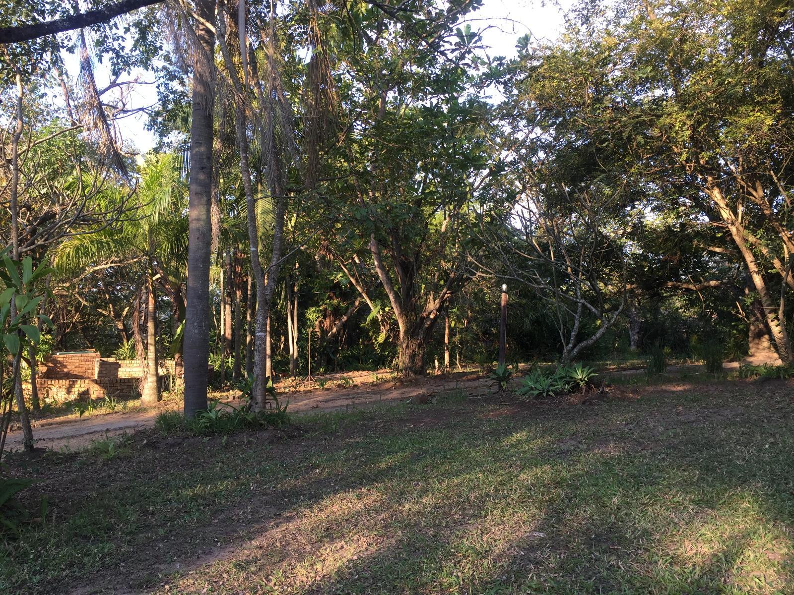 Garden view