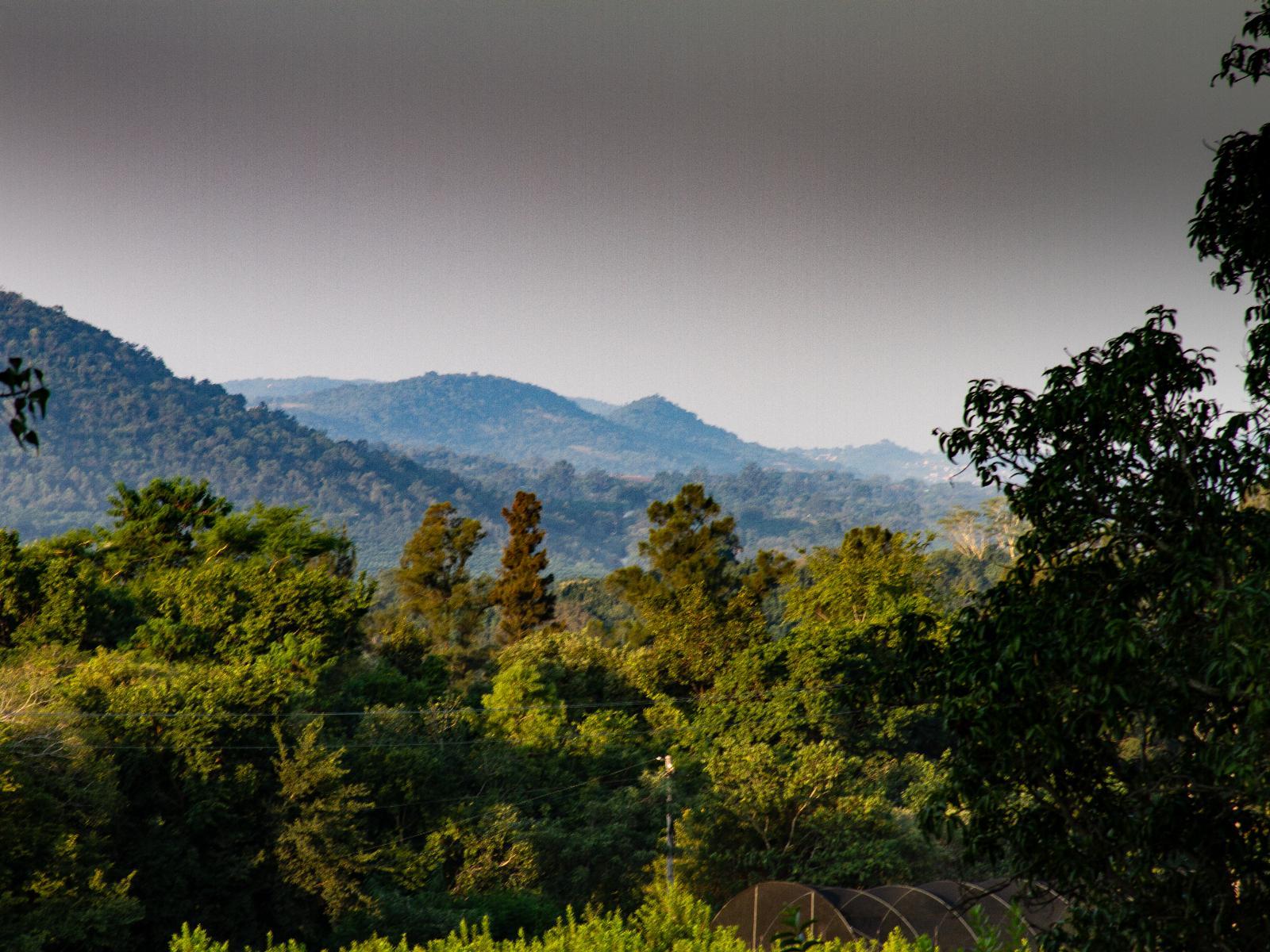 Natural landscape