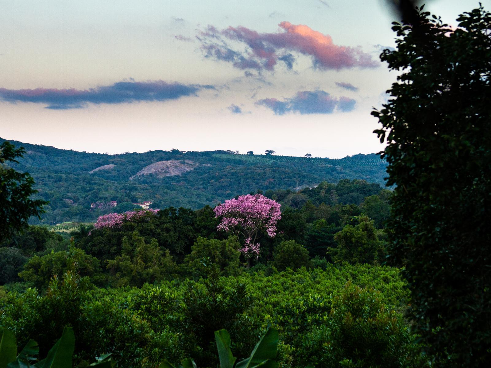 Natural landscape