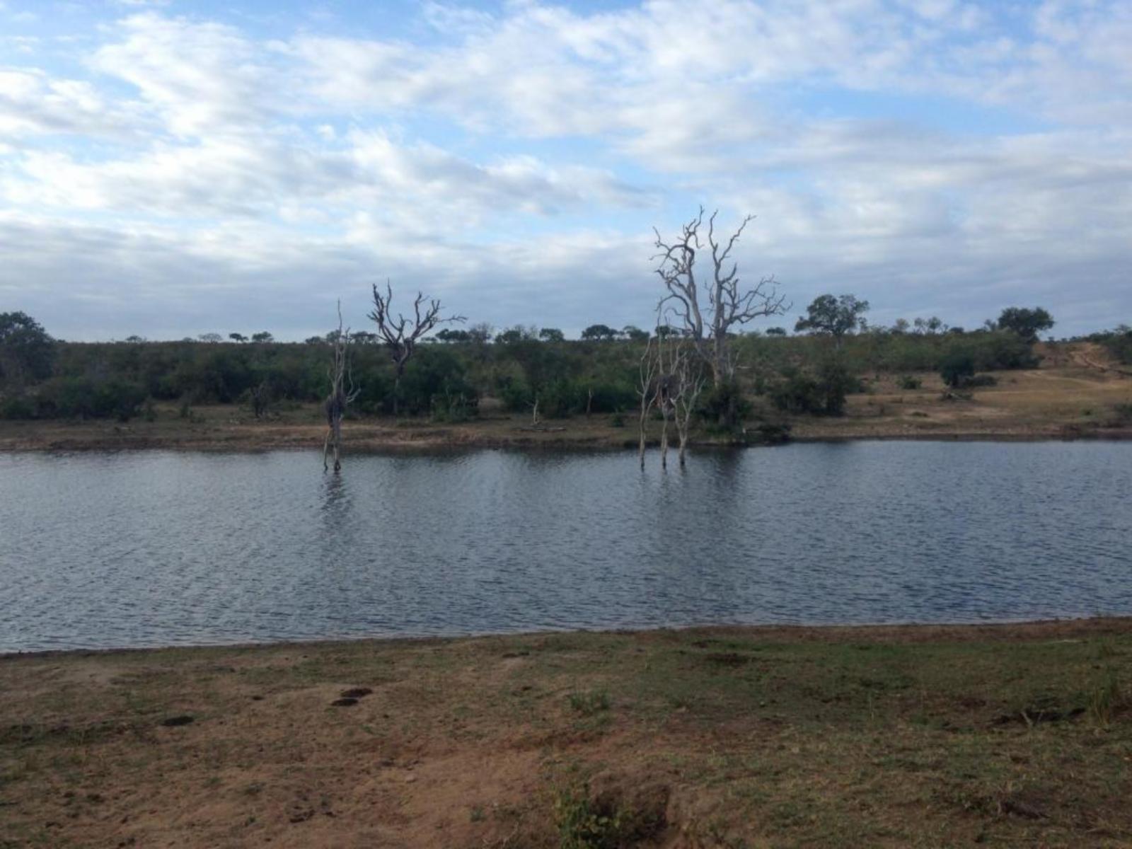 Lake view