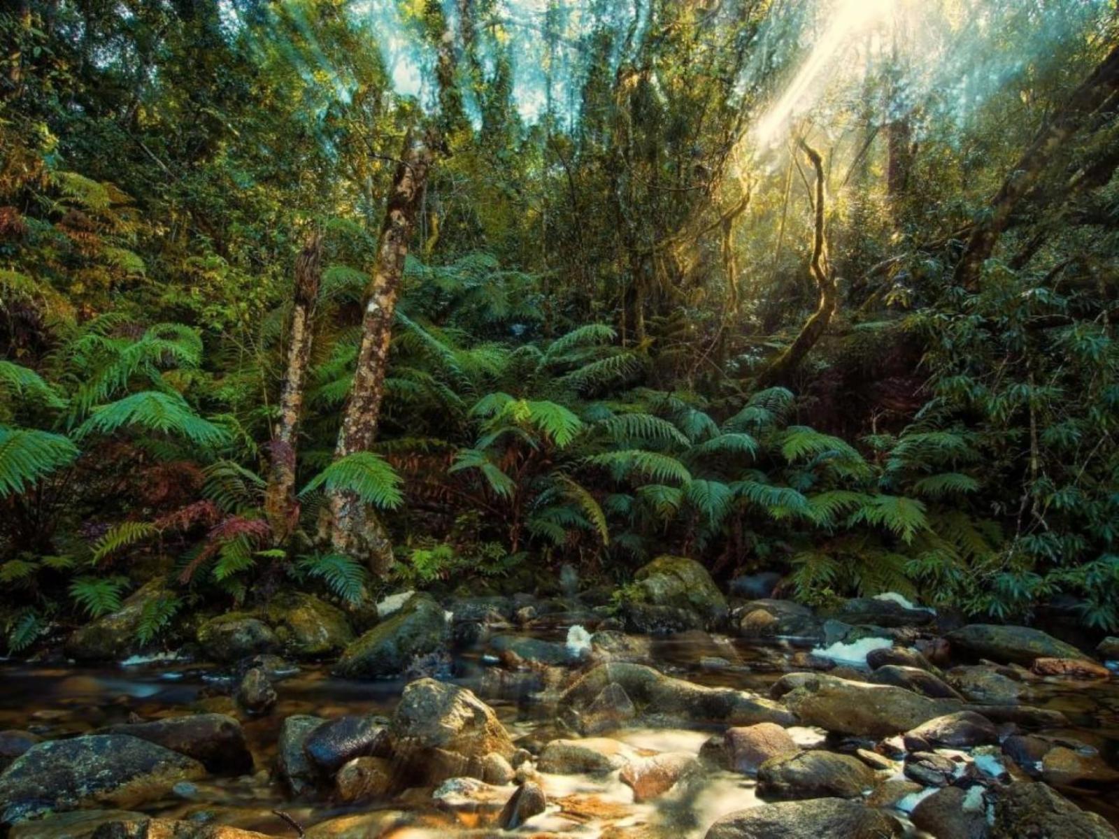 Natural landscape