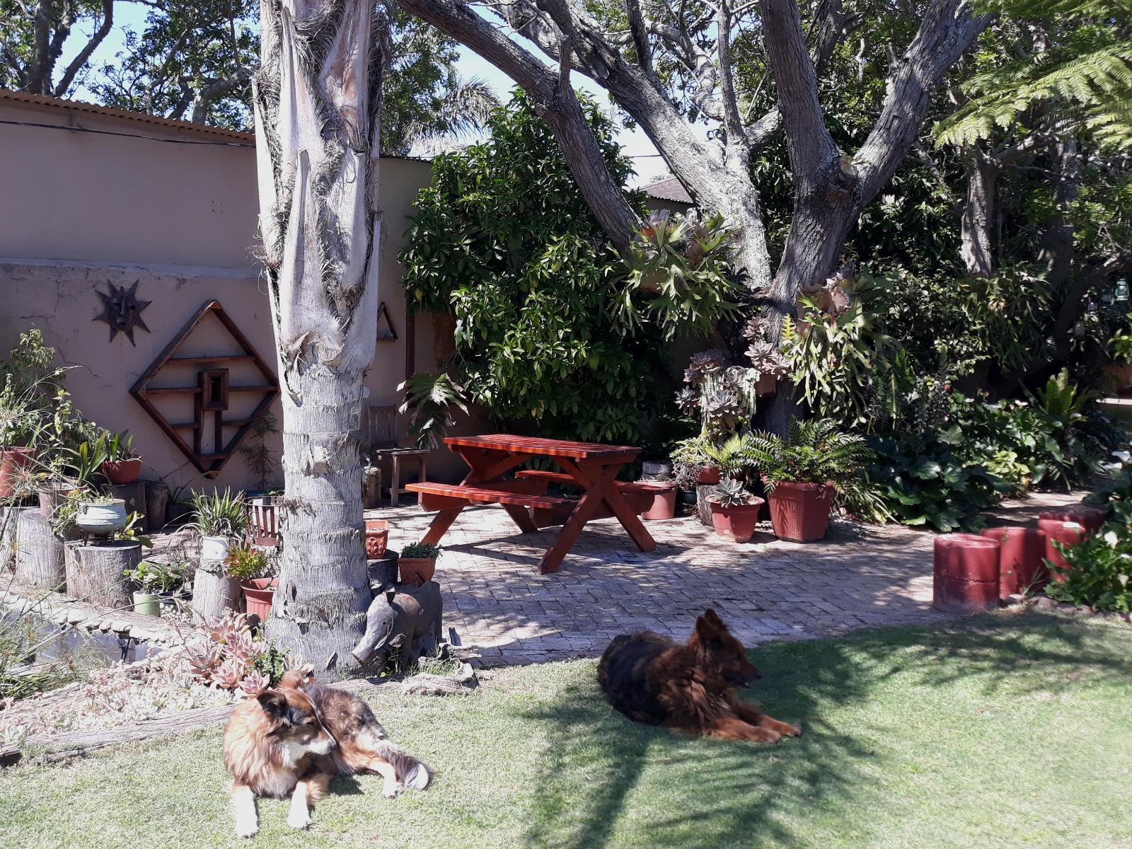 Braai/BBQ facilities