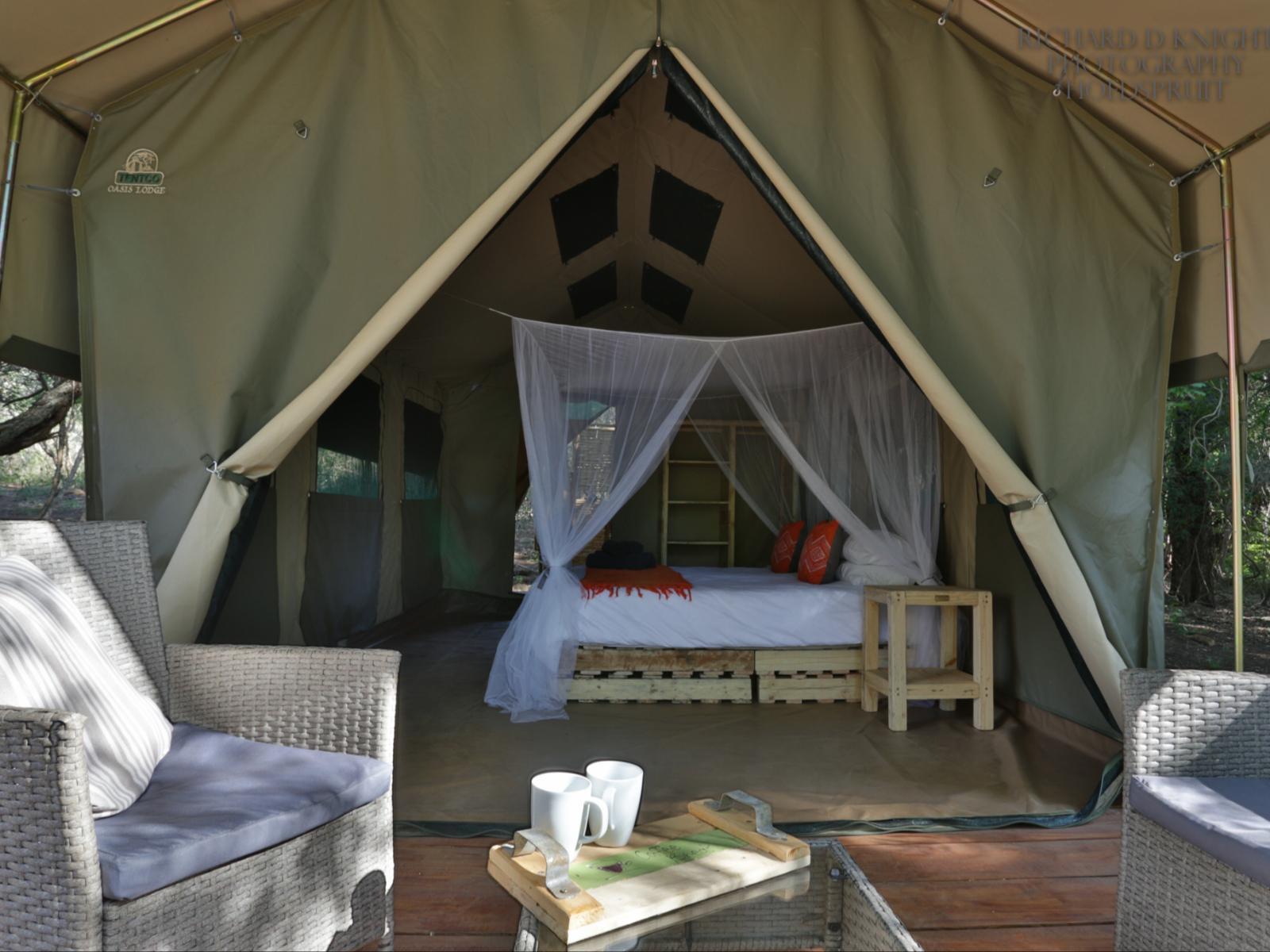 Room 1 — Bed