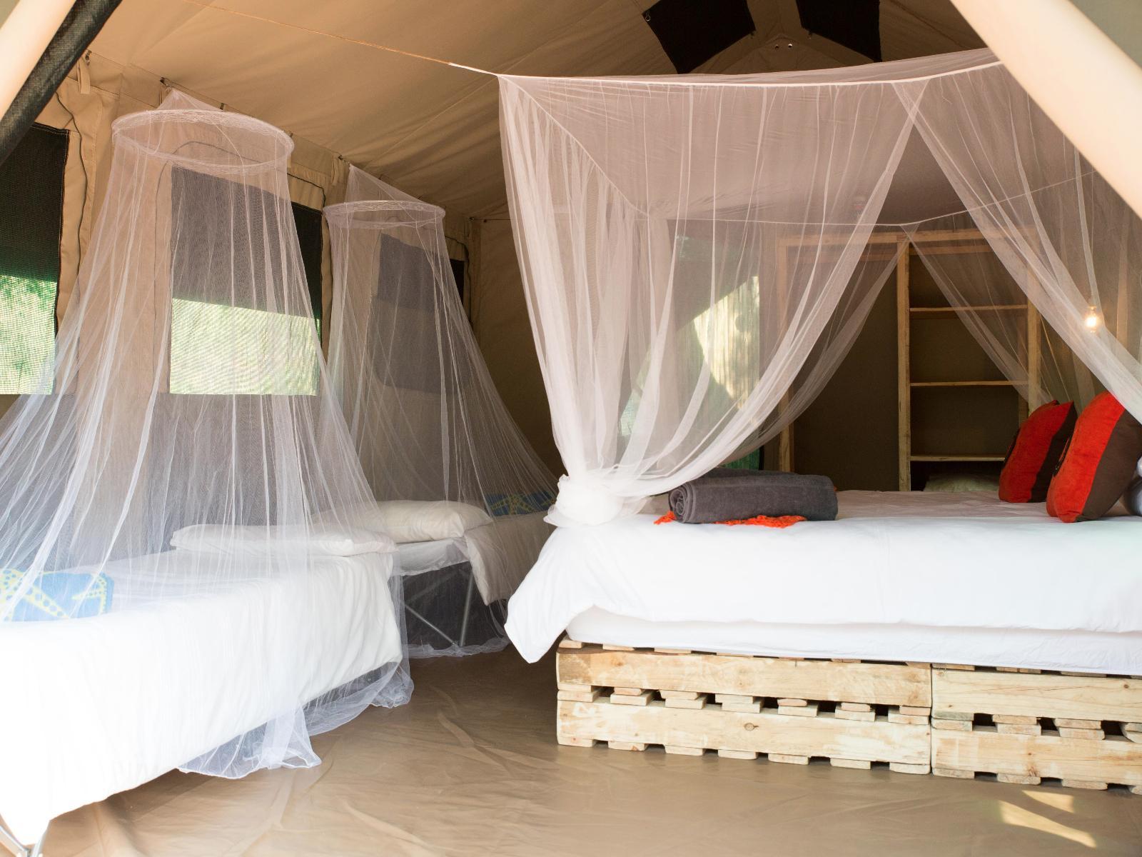 Room 2 — Bed